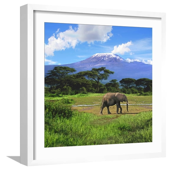 Art.com A Lone African Elephant (Loxodonta Africana) by Mt. Kilimanjaro, Amboseli Nat'l Park, Kenya Photographic Print by Miva Stock, White Frame Wall Art, 21" x 21"