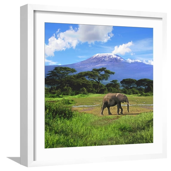 Art.com A Lone African Elephant (Loxodonta Africana) by Mt. Kilimanjaro, Amboseli Nat'l Park, Kenya Photographic Print by Miva Stock, White Frame Wall Art, 21" x 21"