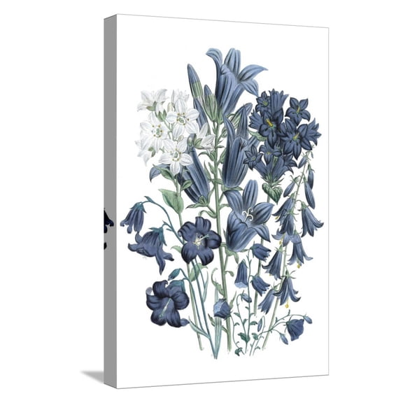 Art.com Loudon Florals III Stretched Canvas Print Wall Art by Jane W. Loudon, 12" x 18"