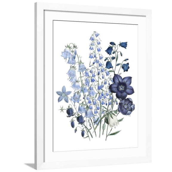 Art.com Loudon Florals IV Art Print by Jane W. Loudon, White Frame Wall Art, 32" x 40"