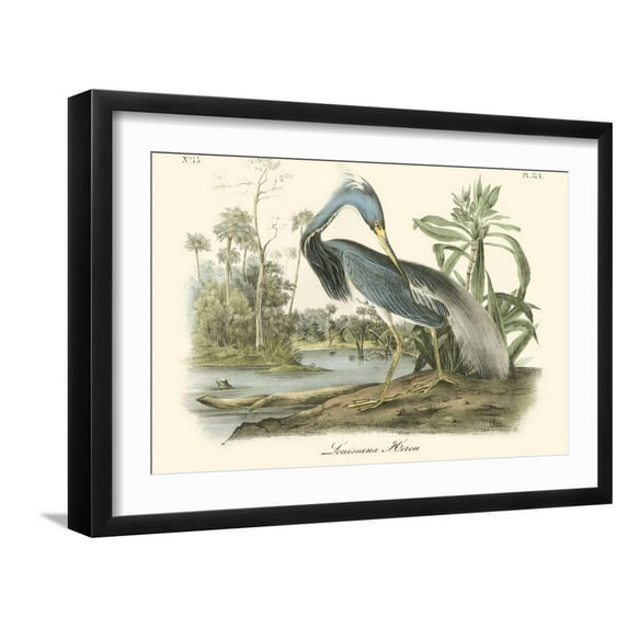 Art.com Louisiana Heron Art Print by John James Audubon, Black Frame Wall Art, 23" x 17"
