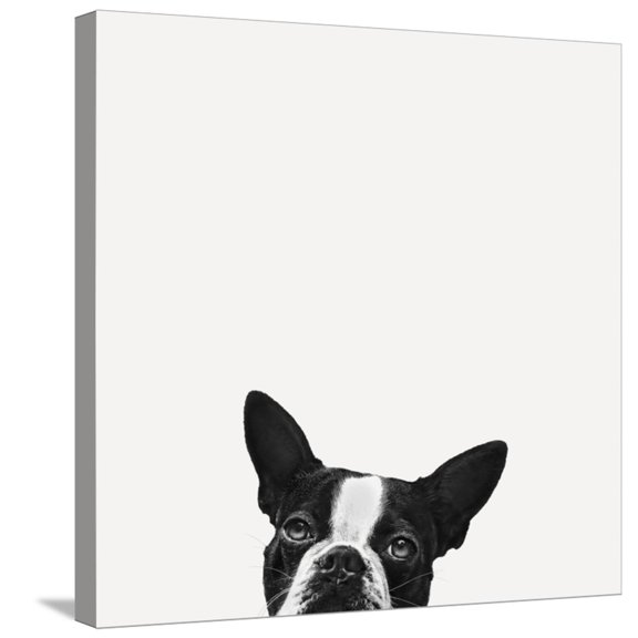 Art.com Loyalty Stretched Canvas Print Wall Art by Jon Bertelli, 24" x 24"