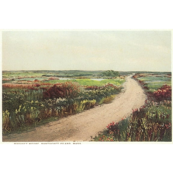 Art.com Madaket Moor, Nantucket, Massachusetts Art Print, 18" x 12"