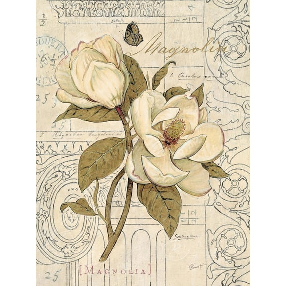 Art.com Magnolia Etching Art Print by Chad Barrett, 24" x 32"