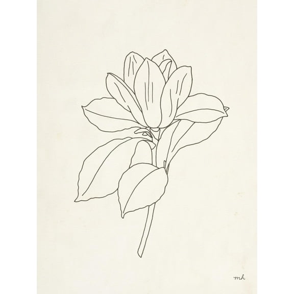 Art.com Magnolia Line Drawing Art Print by Moira Hershey, 24" x 32"