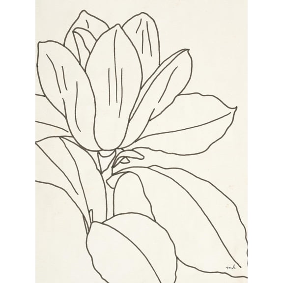 Art.com Magnolia Line Drawing v2 Crop Art Print by Moira Hershey, 12" x 16"