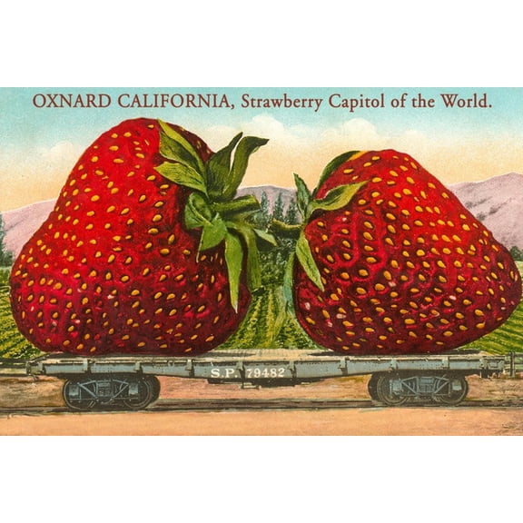 Art.com Mammoth Strawberry on Traincar, Oxnard, California Art Print, 18" x 12"
