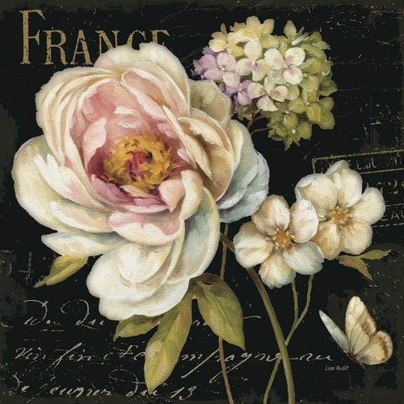 Art.com Marche de Fleurs on Black Art Print by Lisa Audit, 24" x 24"