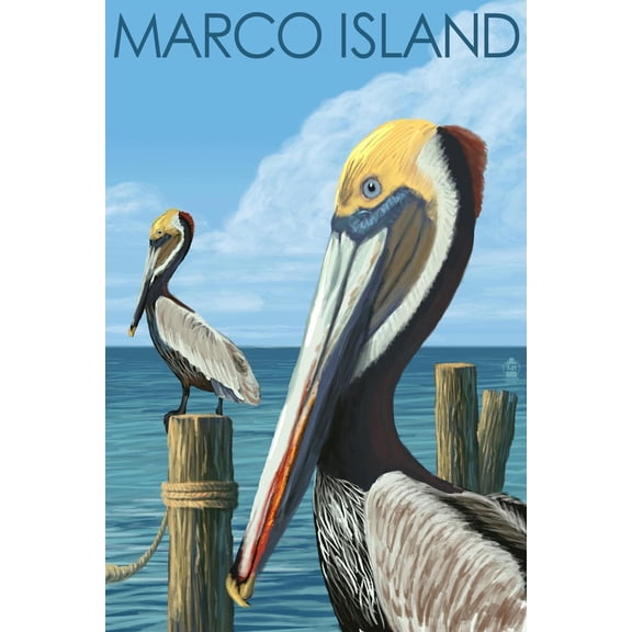 Art.com Marco Island - Pelicans Art Print by Lantern Press, 12" x 18"