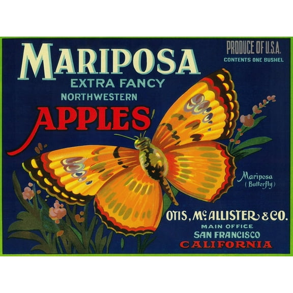 Art.com Mariposa Apple Label - San Francisco, CA Art Print by Lantern Press, 16" x 12"