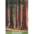 thumbnail image 1 of Art.com Mariposa Grove - Yosemite National Park, California Art Print by Lantern Press, 16" x 24", 1 of 4