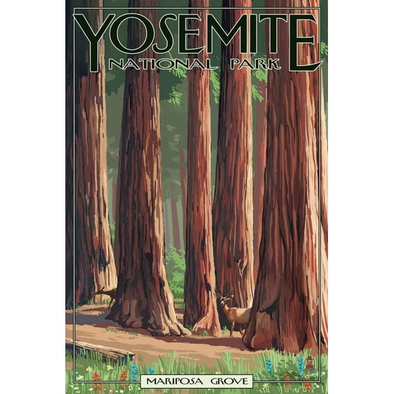 Art.com Mariposa Grove - Yosemite National Park, California Art Print by Lantern Press, 16" x 24"