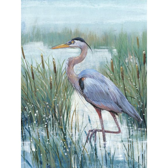 Art.com Marsh Heron II Art Print by Tim O'toole, 18" x 24"
