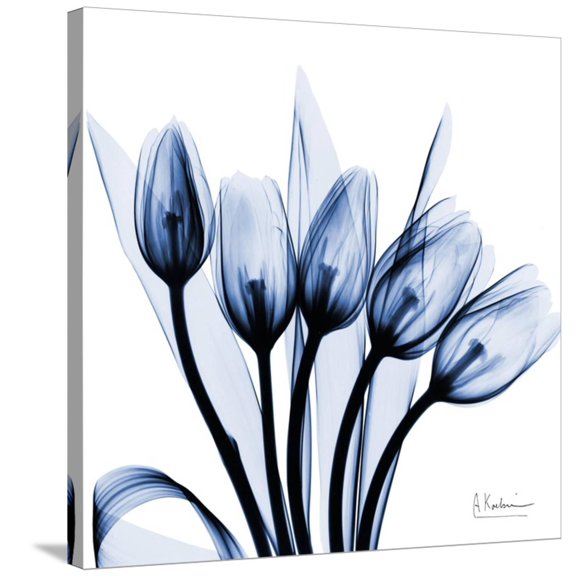 Art.com Marvelous Indigo Tulips Stretched Canvas Print Wall Art by Albert Koetsier, 30" x 30"