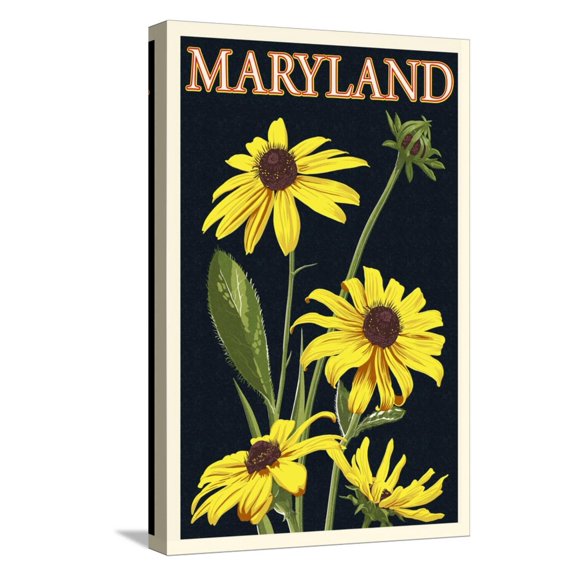 Art.com Maryland - Black Eyed Susan - Letterpress Stretched Canvas Print Wall Art by Lantern Press, 12" x 18"