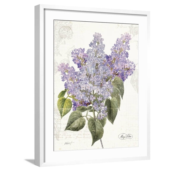 Art.com May Lilac on White Art Print by Katie Pertiet, White Frame Wall Art, 23" x 29"
