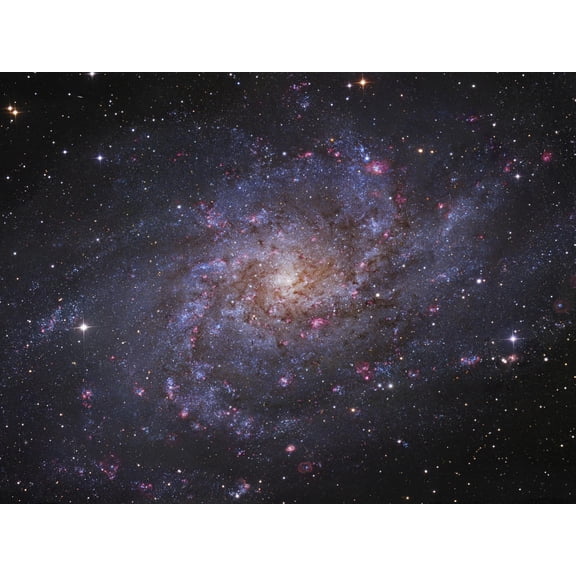 Art.com Messier 33, Spiral Galaxy in Triangulum Photographic Print by Stocktrek Images, 16" x 12"