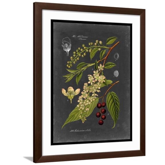 Art.com Midnight Botanical II Art Print by Vision Studio, Brown Frame Wall Art, 32" x 40"