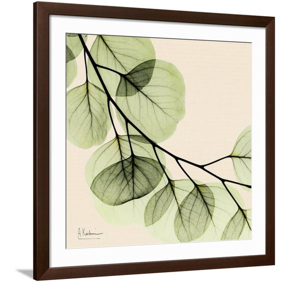Art.com Mint Eucalyptus 2 Art Print by Albert Koetsier, Brown Frame Wall Art, 38" x 38"