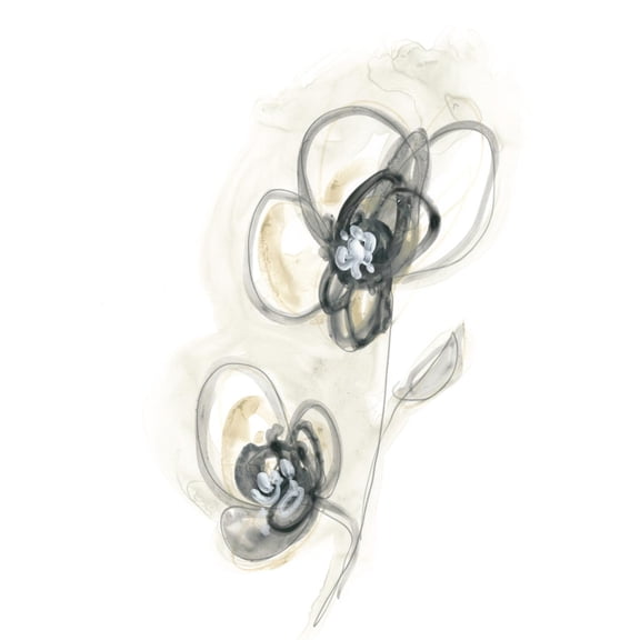 Art.com Monochrome Floral Study II Art Print by June Vess, 12" x 16"