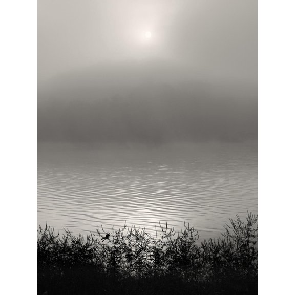 Art.com Monochrome Sunrise Photographic Print by Nicholas Bell, 12" x 16"