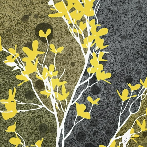 Art.com Moon Flowers II Art Print by James Burghardt, 16" x 16"