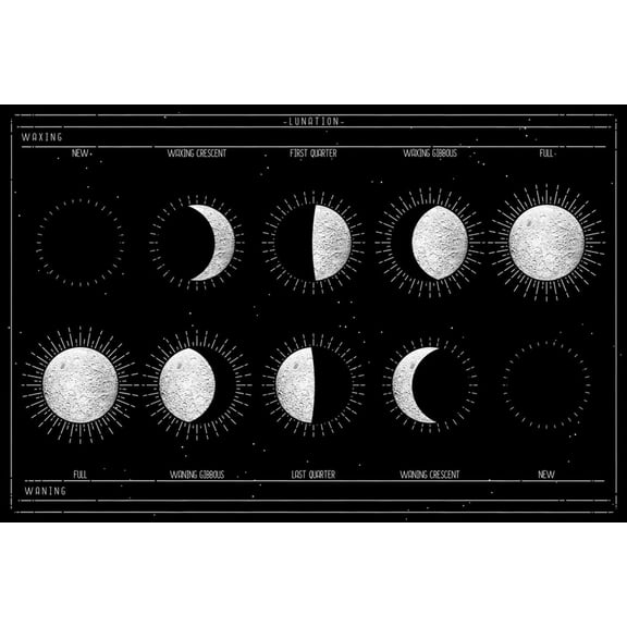 Art.com Moon Phases Art Print, 18" x 12"