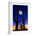 Moon over Saguaro Cactus (Carnegiea Gigantea), Tucson, Pima