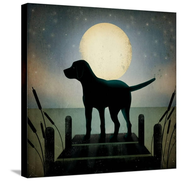 Art.com Moonrise Black Dog Stretched Canvas Print Wall Art by Ryan Fowler, 24" x 24"