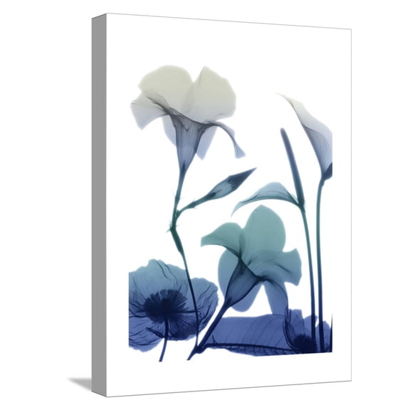 Art.com Morning Bloom 1 Stretched Canvas Print Wall Art by Albert Koetsier, 12" x 16"