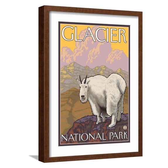 Art.com Mountain Goat, Glacier National Park, Montana Art Print by Lantern Press, Brown Frame Wall Art, 17" x 23"