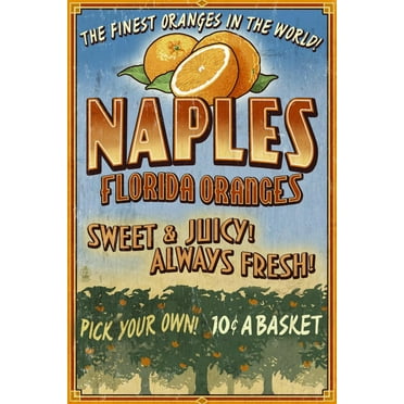 Art.com Naples, Florida - Orange Grove Vintage Sign Art Print by Lantern Press, 12" x 18"