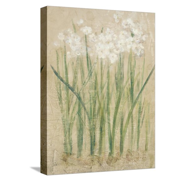 Art.com Narcissus Cool Stretched Canvas Print Wall Art by Cheri Blum, 12" x 16"