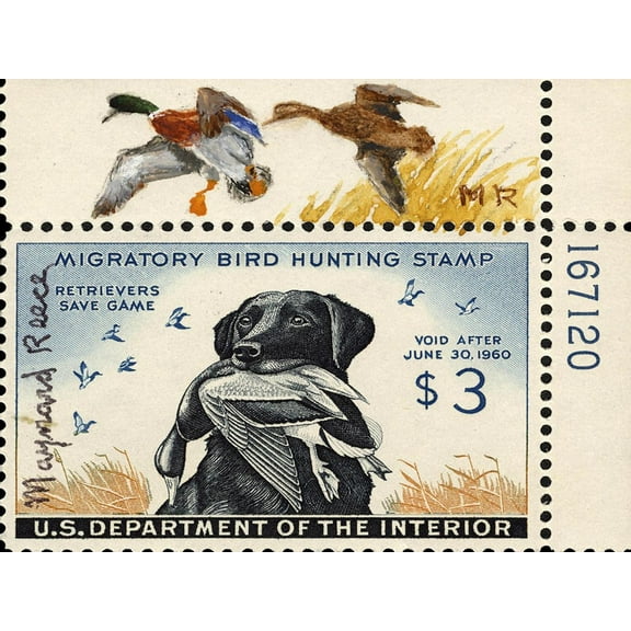 Art.com National Postal Museum: 3 Dollar Duck Stamp Remarque Art Print, 16" x 12"