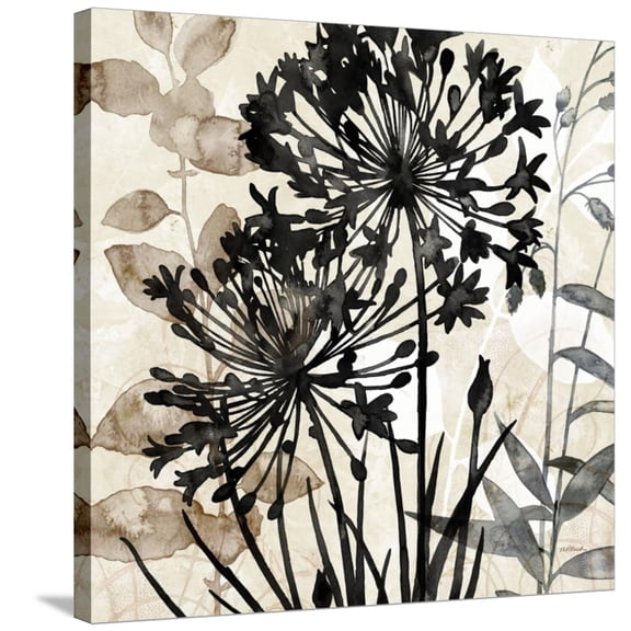 Art.com Natural Botanical 2 Stretched Canvas Print Wall Art by Melissa Pluch, 30" x 30"
