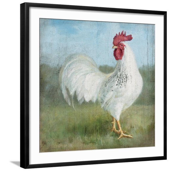 Art.com Noble Rooster I Vintage No Border Art Print by Danhui Nai, Black Frame Wall Art, 29" x 29"