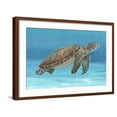 thumbnail image 1 of Art.com Ocean Sea Turtle I Art Print by Tim O'toole, Brown Frame Wall Art, 29" x 21", 1 of 5