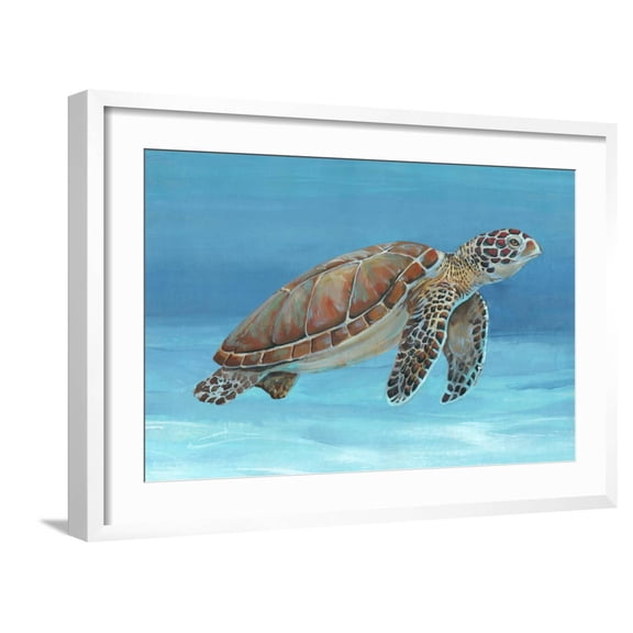 Art.com Ocean Sea Turtle I Art Print by Tim O'toole, White Frame Wall Art, 29" x 21"