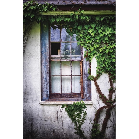 Art.com Old Window with Ivy Photographic Print by George Oze, 12" x 18"