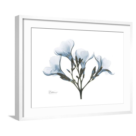 Art.com Oleander Portrait Premium Giclee Print by Albert Koetsier, White Frame Wall Art, 29" x 23"