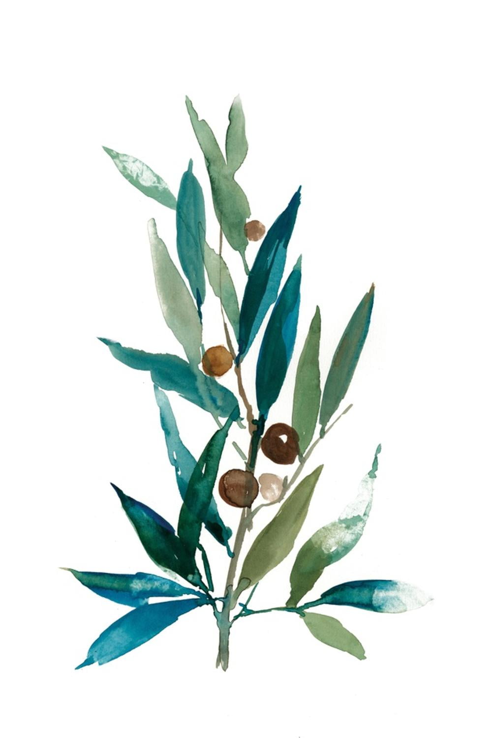 Vertical Canvas Olive Branch Art Print for Kids Room