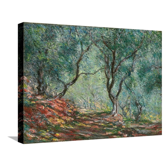 Art.com Olive Trees in the Moreno Garden; Bois D'oliviers Au Jardin Moreno, 1884 (Oil on Canvas) Stretched Canvas Print Wall Art by Claude Monet, 24" x 18"