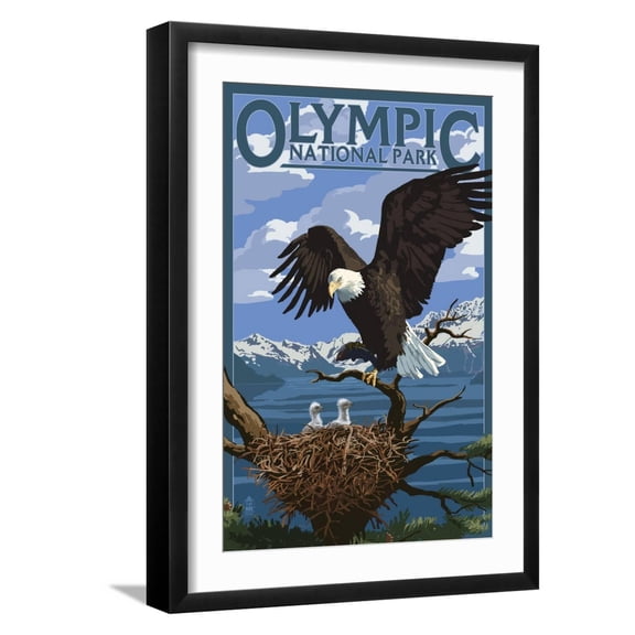 Art.com Olympic National Park - Eagle and Chicks Art Print by Lantern Press, Black Frame Wall Art, 17" x 23"