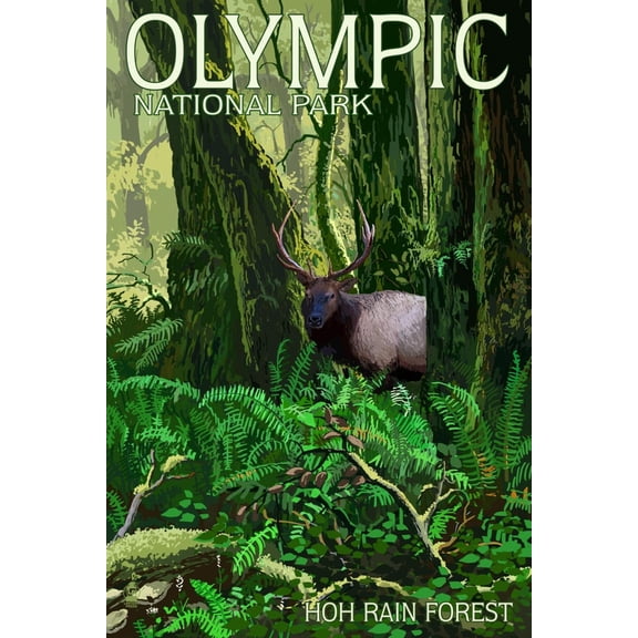 Art.com Olympic National Park, Washington - Hoh Rain Forest Art Print by Lantern Press, 12" x 18"