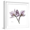 thumbnail image 1 of Art.com Orchid Lavender Premium Giclee Print by Albert Koetsier, White Frame Wall Art, 21" x 21", 1 of 5