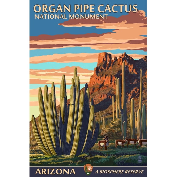 Art.com Organ Pipe Cactus National Monument, Arizona Art Print by Lantern Press, 12" x 18"