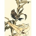 thumbnail image 1 of Art.com Oriental Bird on Branch II Art Print by Vision Studio, 18" x 24", 1 of 4