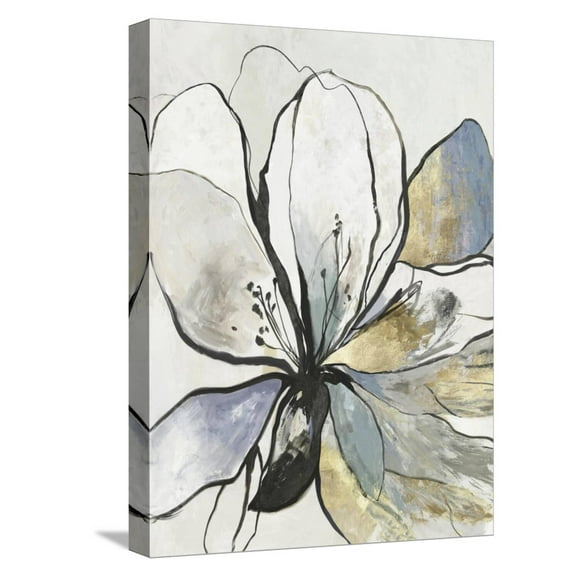 Art.com Outlined Floral II Stretched Canvas Print Wall Art by Asia Jensen, 12" x 16"