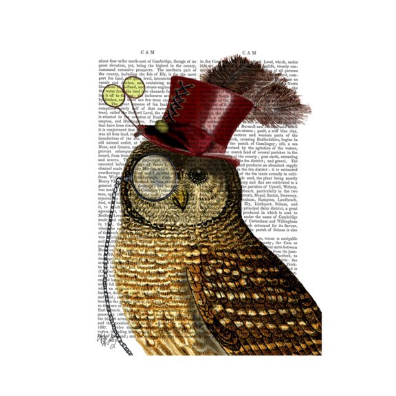 Art.com Owl with Top Hat Art Print by Fab Funky, 24" x 32"