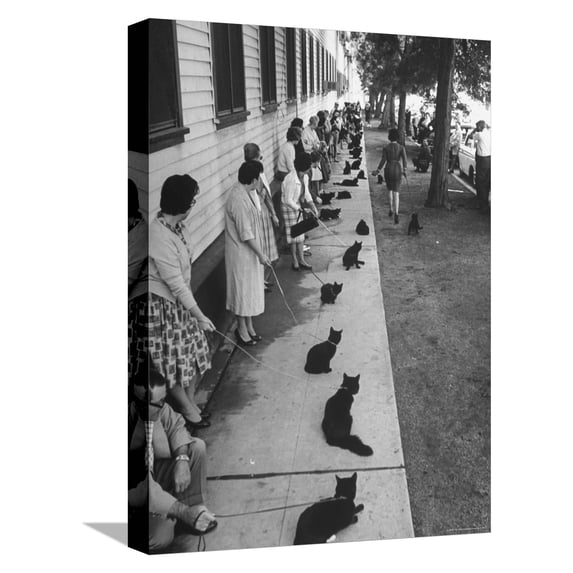 Art.com Owners with Their Black Cats, Waiting in Line For Audition in Movie Tales of Terror Stretched Canvas Print Wall Art by Ralph Crane, 12" x 16"